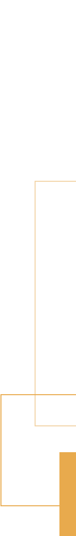 Accent image 1